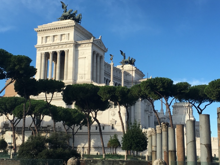 Altare della Patria sedd från Forum Romanum med pinjer i förgrunden
